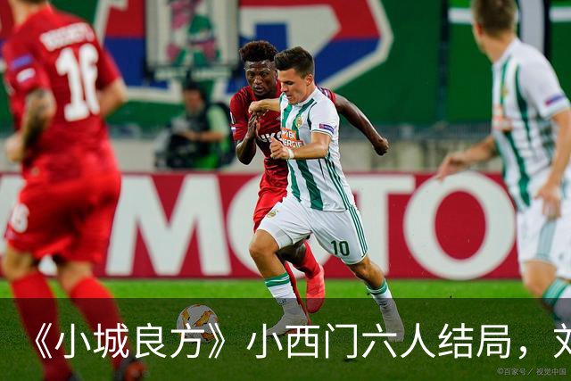 《小城良方》小西门六人结局，刘铮亮继任院长，陈俊南创业
