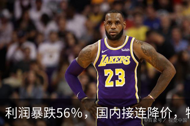 利润暴跌56％，国内接连降价，特斯拉的中国智驾何时兑现？