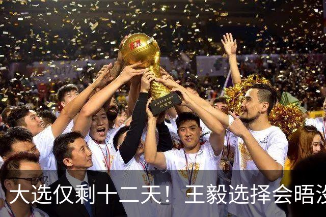 大选仅剩十二天！王毅选择会晤没实权的总统，背后布局大有讲究