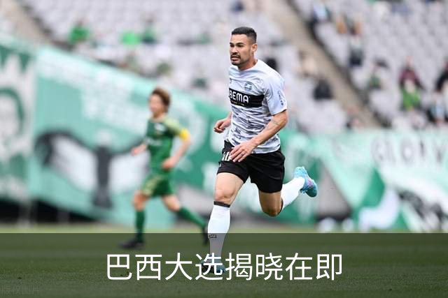 巴西大选揭晓在即