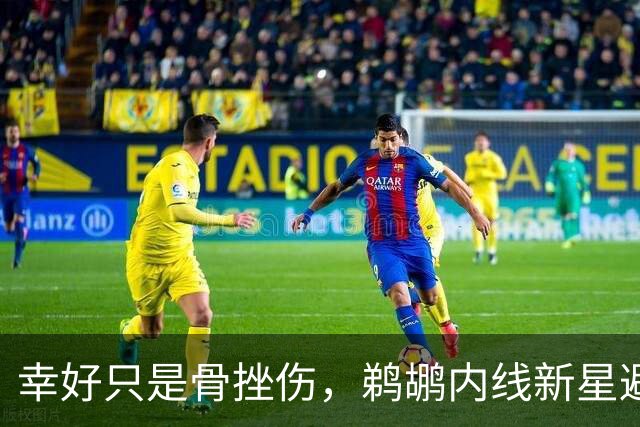 幸好只是骨挫伤，鹈鹕内线新星避免了重大伤病的发生？