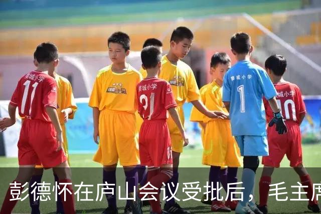 彭德怀在庐山会议受批后，毛主席提出与他谈谈，彭德怀却问：有什么好谈的？