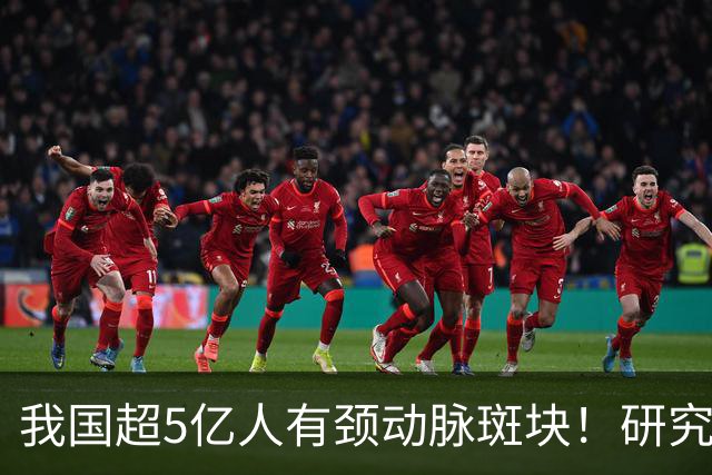 我国超5亿人有颈动脉斑块！研究证实：斑块可以消退！有5点建议