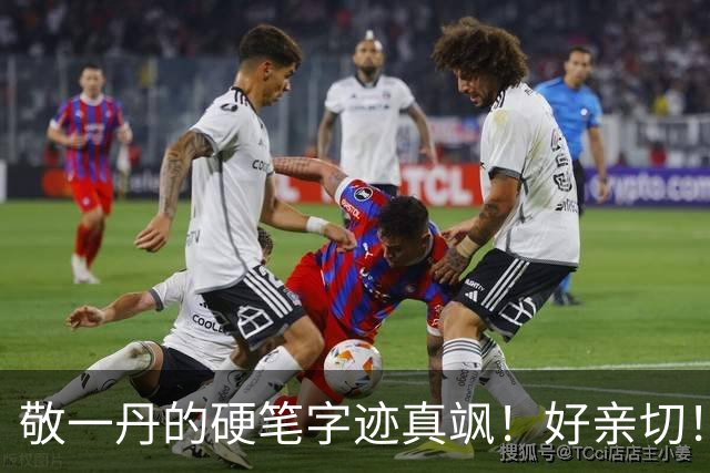敬一丹的硬笔字迹真飒！好亲切！写柳公权玄秘塔，是悬腕写还是伏案写？如何鉴定这幅书法的真伪？