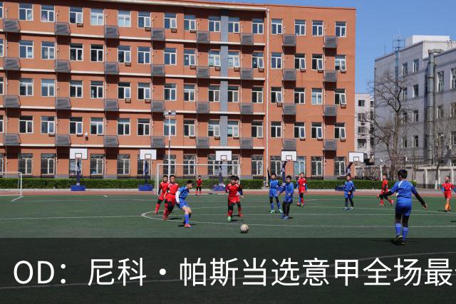 OD：尼科·帕斯当选意甲全场最佳，11场造11球