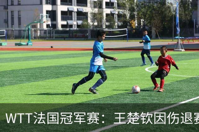 WTT法国冠军赛：王楚钦因伤退赛，国乒11人出战单打对决